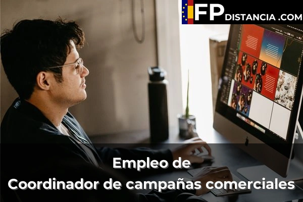 Coordinador de campañas comerciales